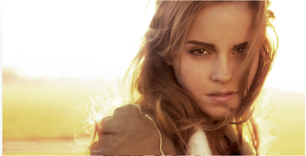 Emma Watson Logan Lerman to film'The Perks of Being a Wallflower'